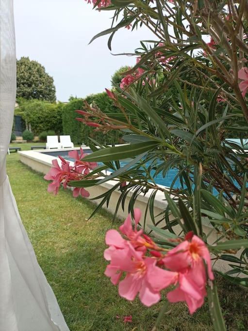 Le Cabanon Tendance Du Luberon Mérindol Zewnętrze zdjęcie