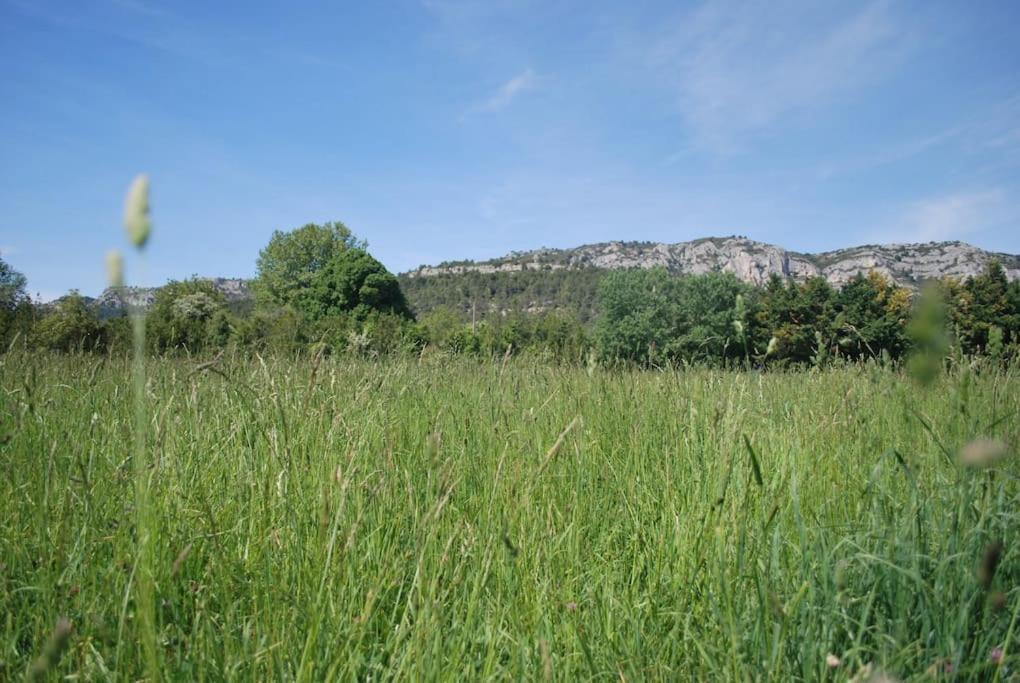 Le Cabanon Tendance Du Luberon Mérindol Zewnętrze zdjęcie